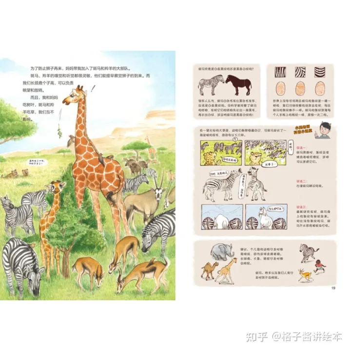 绘本神奇的动物园教案，无穷小亮老师的动物科普绘本《动物的日常》