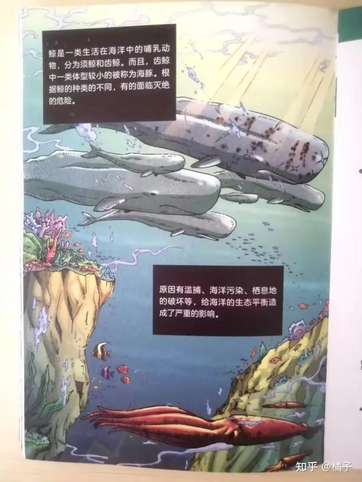 动物趣味科普小知识，冒险趣味动物知识一个不落，这套漫画科普系列让孩子爱不释手
