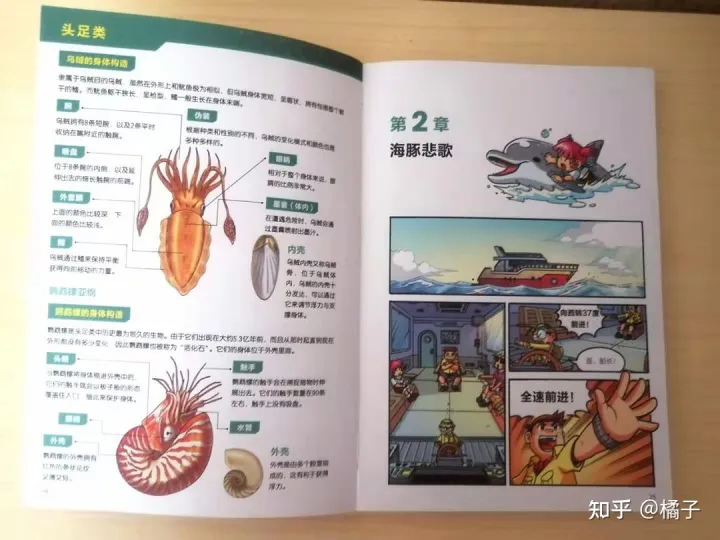 动物趣味科普小知识，冒险趣味动物知识一个不落，这套漫画科普系列让孩子爱不释手