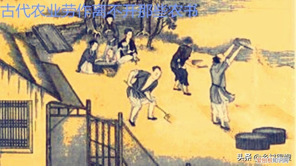被誉为古代百科全书的是，它被称为古代生活百科全书！意义和影响深远，但却有诸多谜团待解