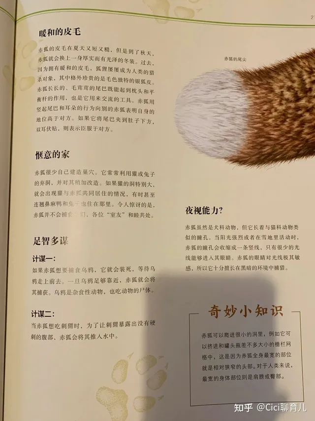 孩子与动物的近距离，带娃近距离了解动物，一起与森林动物面对面