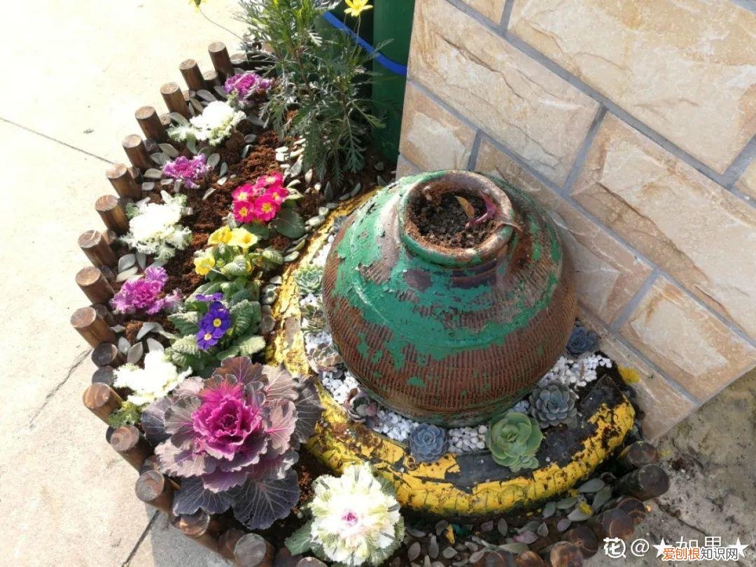 自己做花肥简直太简单了，10个偏方，能省不少钱，把花养的又肥又壮
