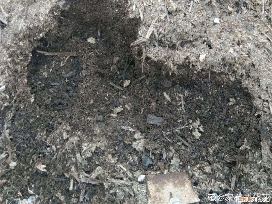 自己做花肥简直太简单了，10个偏方，能省不少钱，把花养的又肥又壮