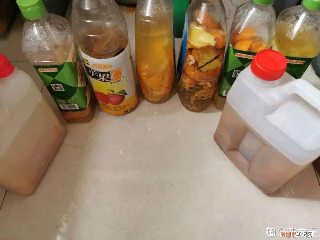 自己做花肥简直太简单了，10个偏方，能省不少钱，把花养的又肥又壮