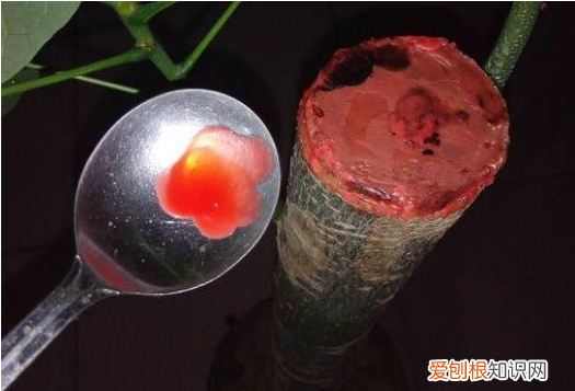 自己做花肥简直太简单了，10个偏方，能省不少钱，把花养的又肥又壮