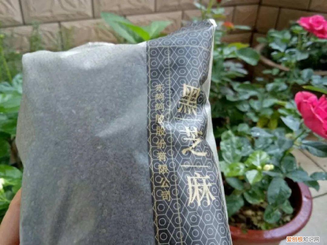自己做花肥简直太简单了，10个偏方，能省不少钱，把花养的又肥又壮