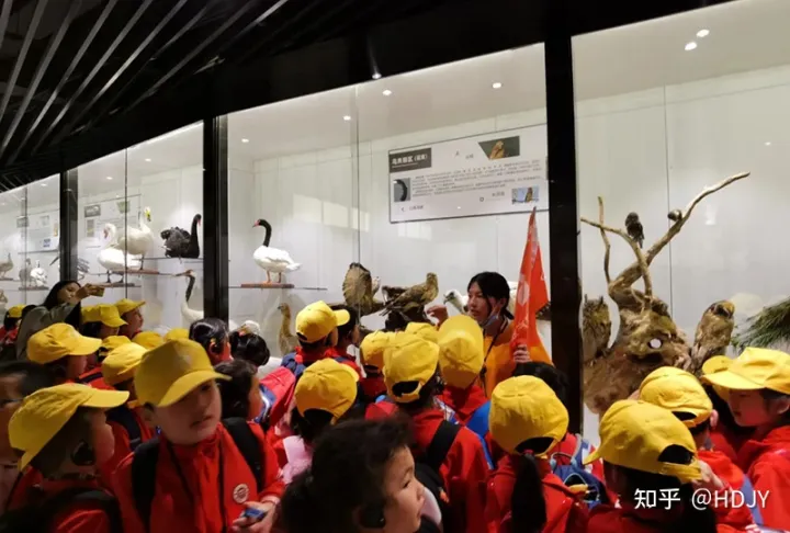 关于爱鸟护鸟的句子有哪些，爱鸟始于心，护鸟在于行！福州麦顶小学鸟类科普研学活动！