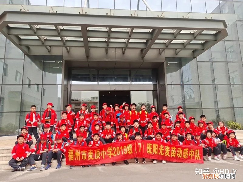 关于爱鸟护鸟的句子有哪些，爱鸟始于心，护鸟在于行！福州麦顶小学鸟类科普研学活动！
