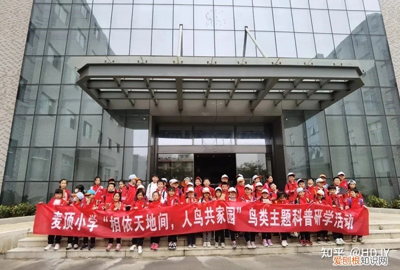 关于爱鸟护鸟的句子有哪些，爱鸟始于心，护鸟在于行！福州麦顶小学鸟类科普研学活动！