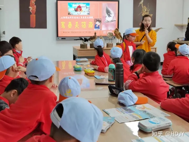 关于爱鸟护鸟的句子有哪些，爱鸟始于心，护鸟在于行！福州麦顶小学鸟类科普研学活动！