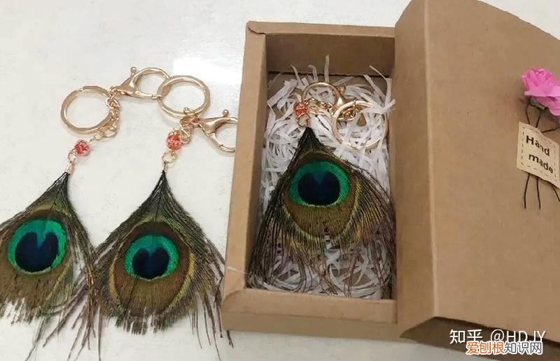 关于爱鸟护鸟的句子有哪些，爱鸟始于心，护鸟在于行！福州麦顶小学鸟类科普研学活动！
