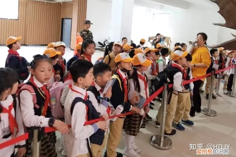 关于爱鸟护鸟的句子有哪些，爱鸟始于心，护鸟在于行！福州麦顶小学鸟类科普研学活动！