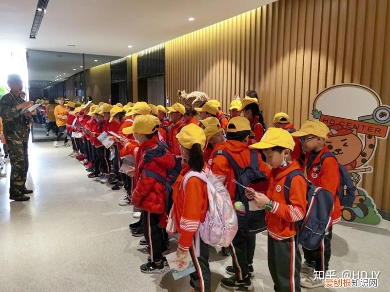 关于爱鸟护鸟的句子有哪些，爱鸟始于心，护鸟在于行！福州麦顶小学鸟类科普研学活动！
