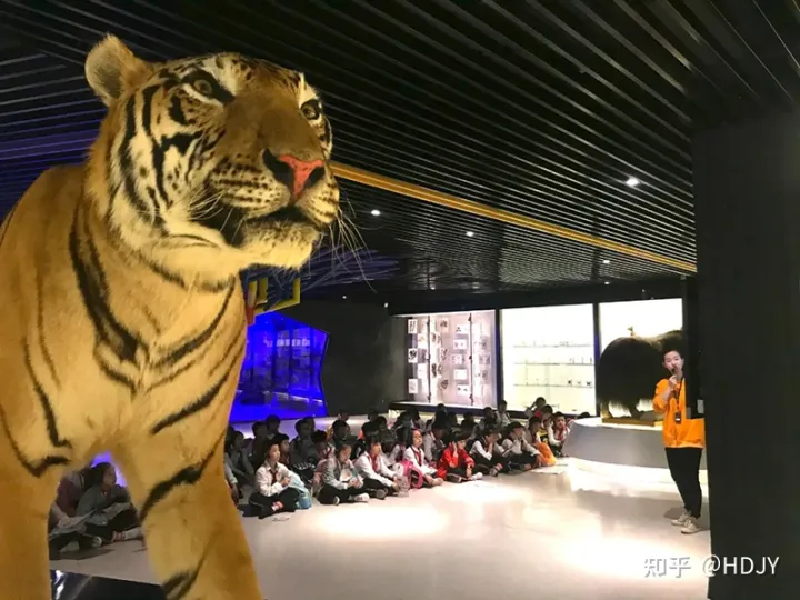 关于爱鸟护鸟的句子有哪些，爱鸟始于心，护鸟在于行！福州麦顶小学鸟类科普研学活动！