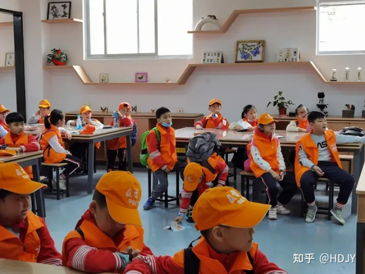 关于爱鸟护鸟的句子有哪些，爱鸟始于心，护鸟在于行！福州麦顶小学鸟类科普研学活动！