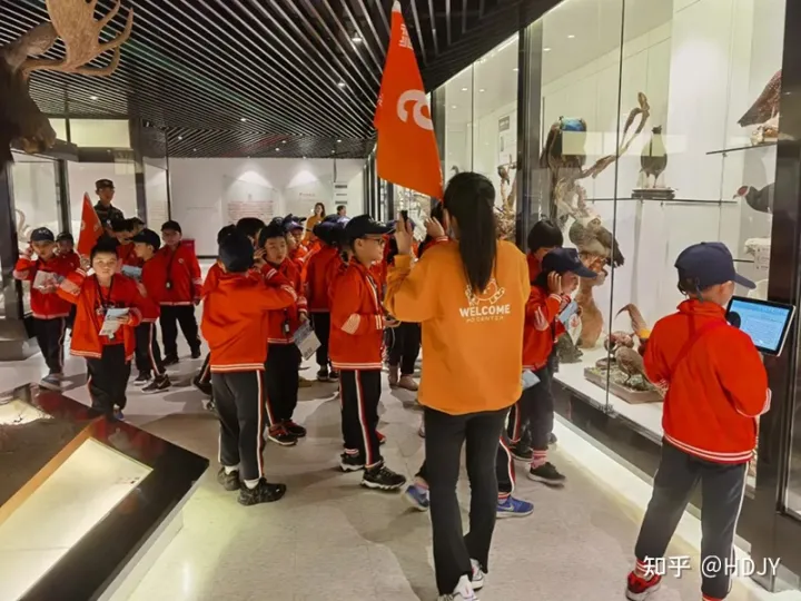 关于爱鸟护鸟的句子有哪些，爱鸟始于心，护鸟在于行！福州麦顶小学鸟类科普研学活动！