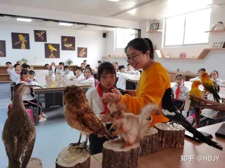 关于爱鸟护鸟的句子有哪些，爱鸟始于心，护鸟在于行！福州麦顶小学鸟类科普研学活动！