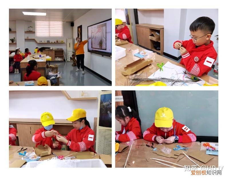 关于爱鸟护鸟的句子有哪些，爱鸟始于心，护鸟在于行！福州麦顶小学鸟类科普研学活动！