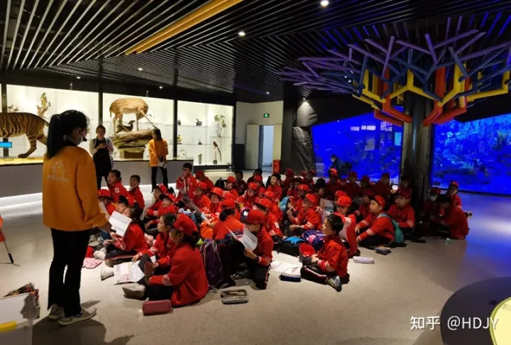 关于爱鸟护鸟的句子有哪些，爱鸟始于心，护鸟在于行！福州麦顶小学鸟类科普研学活动！