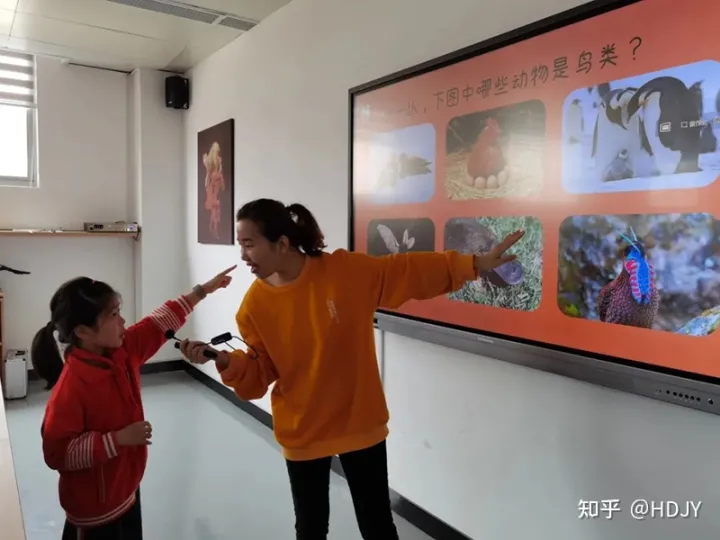 关于爱鸟护鸟的句子有哪些，爱鸟始于心，护鸟在于行！福州麦顶小学鸟类科普研学活动！