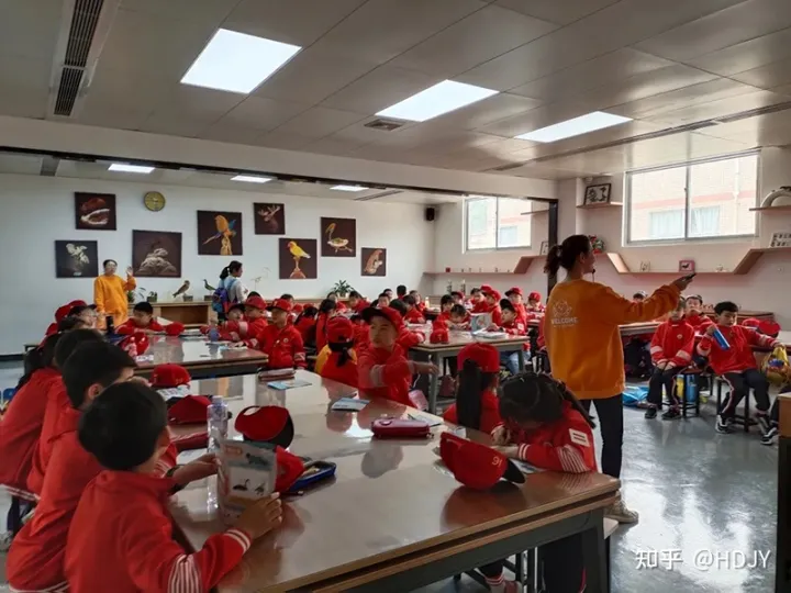 关于爱鸟护鸟的句子有哪些，爱鸟始于心，护鸟在于行！福州麦顶小学鸟类科普研学活动！