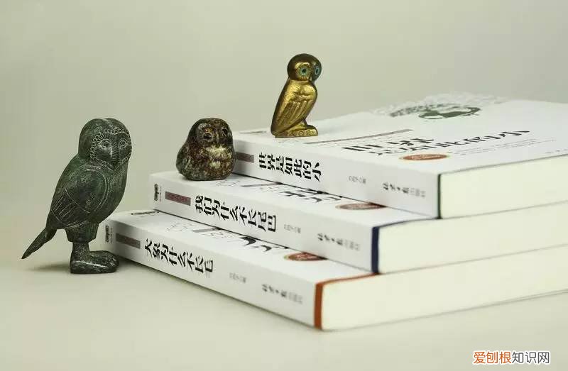 猫头鹰在科学上是什么动物?为什么?，科学猫头鹰“精品科普读物漂流进校园”捐赠方案
