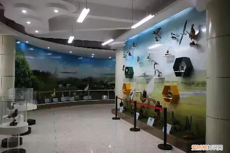 红领巾快乐成长站，红领巾成长营 | “与动物世界同行，品畜牧兽医文化”研学科普公益活动开始报名啦！