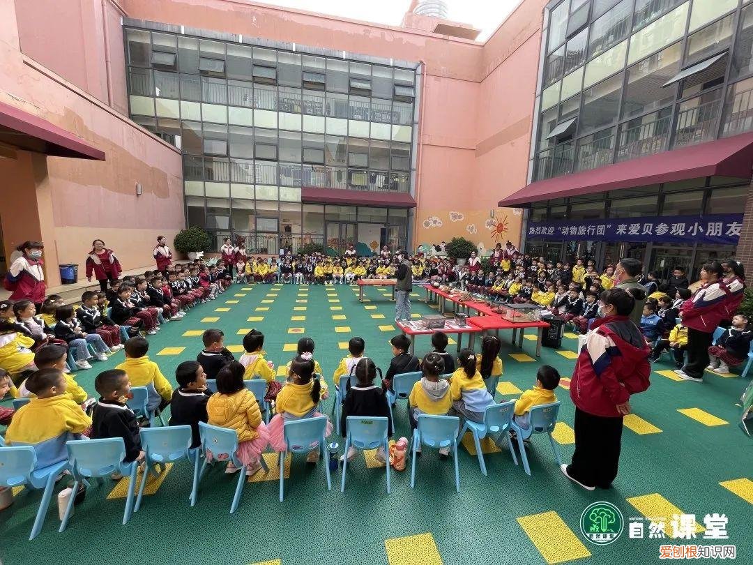 中班科学动物好朋友教案，「科普进校」我和我的动物朋友科普活动·走进爱贝幼儿园