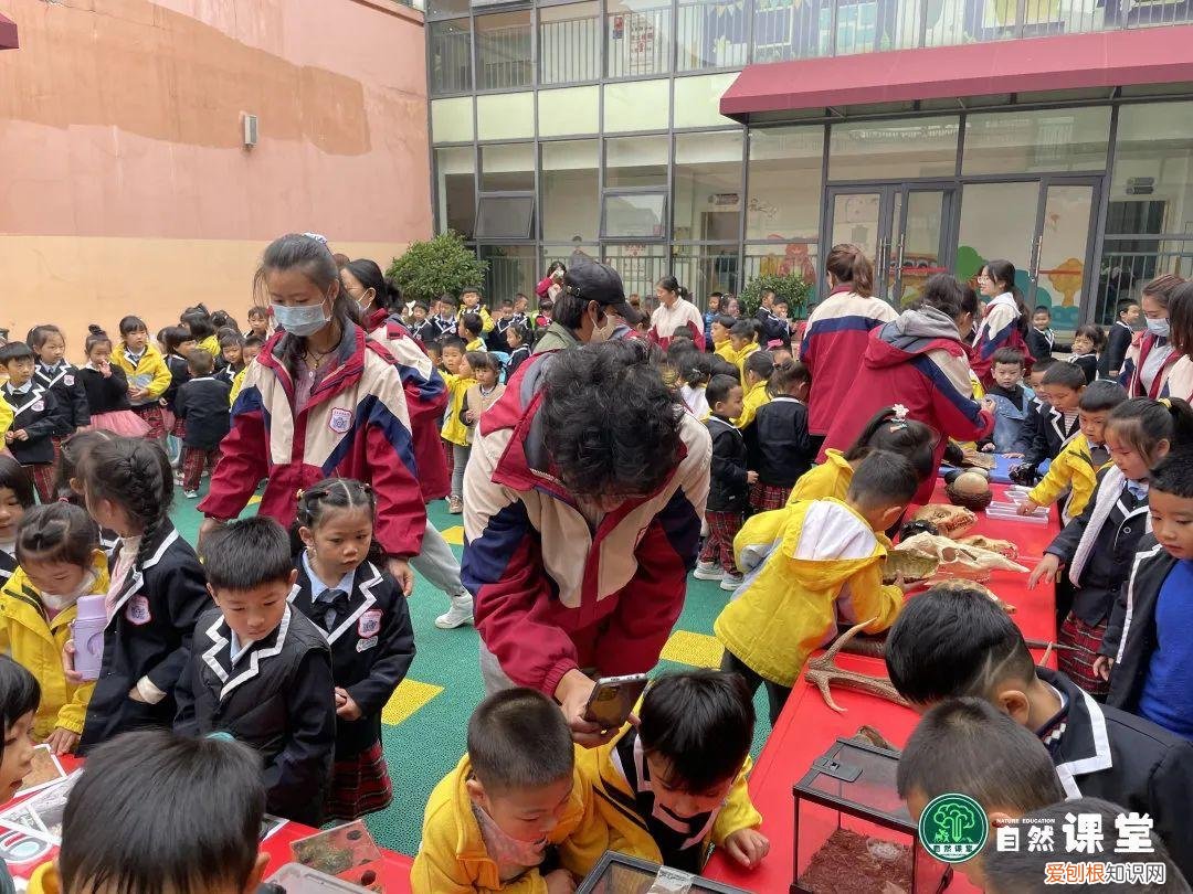 中班科学动物好朋友教案，「科普进校」我和我的动物朋友科普活动·走进爱贝幼儿园