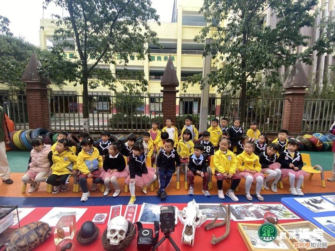 中班科学动物好朋友教案，「科普进校」我和我的动物朋友科普活动·走进爱贝幼儿园