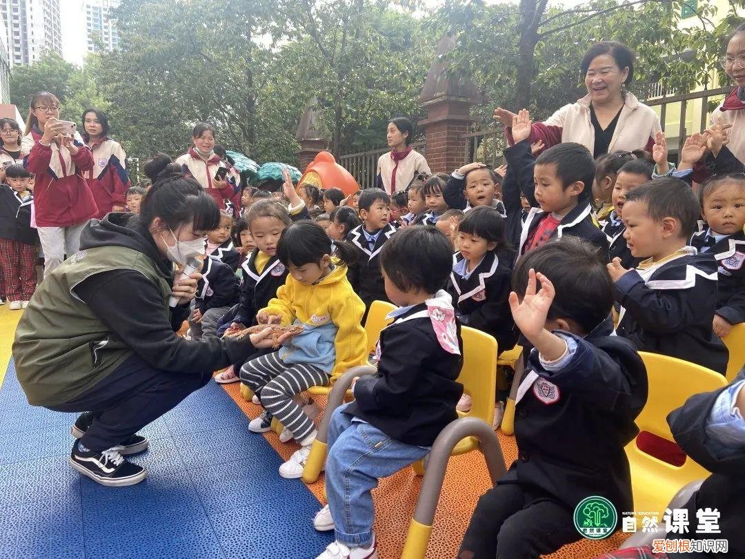 中班科学动物好朋友教案，「科普进校」我和我的动物朋友科普活动·走进爱贝幼儿园