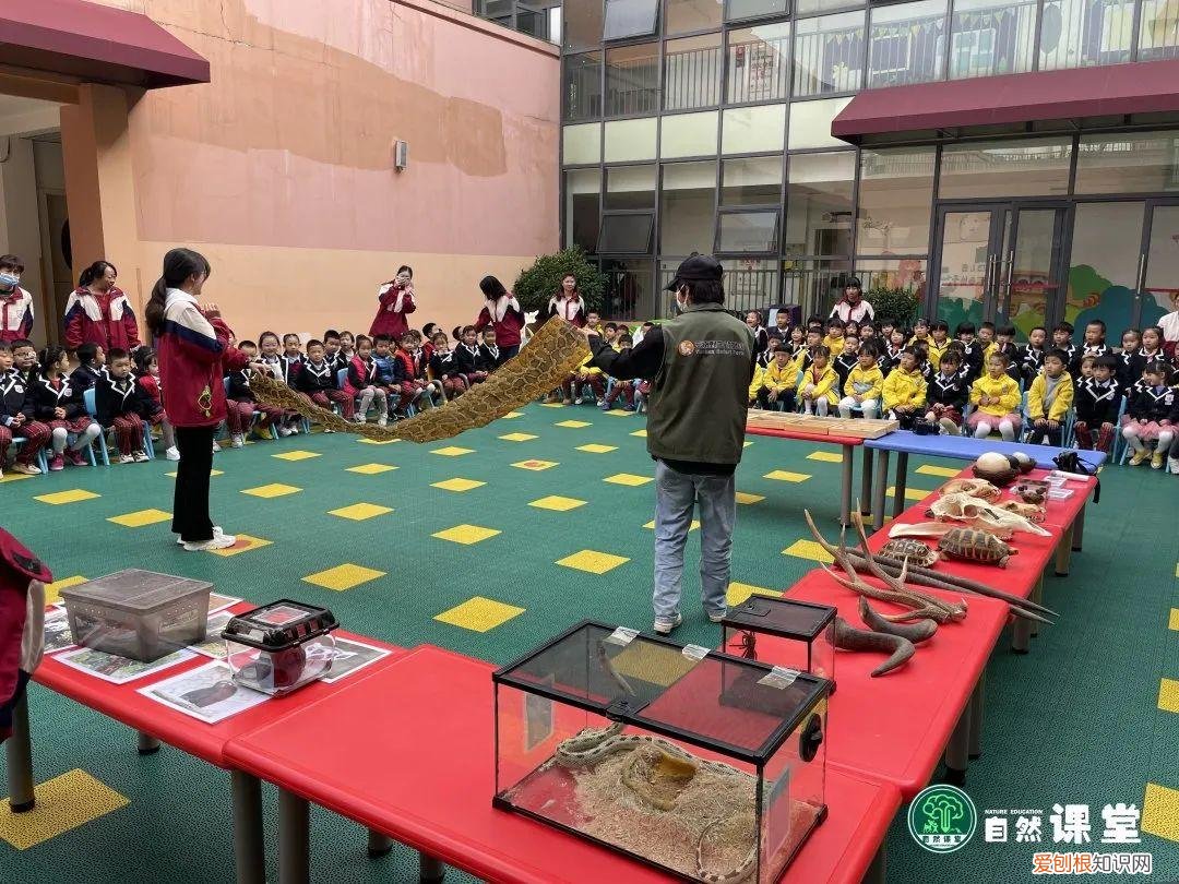 中班科学动物好朋友教案，「科普进校」我和我的动物朋友科普活动·走进爱贝幼儿园