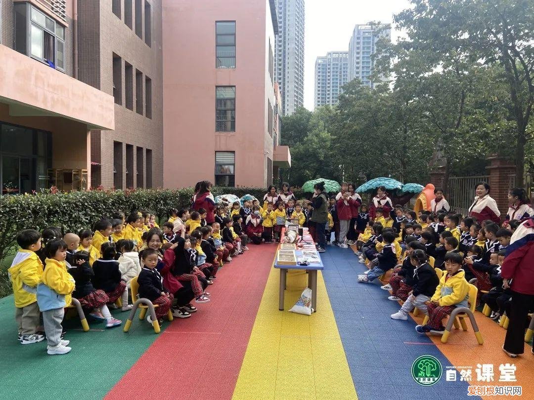 中班科学动物好朋友教案，「科普进校」我和我的动物朋友科普活动·走进爱贝幼儿园