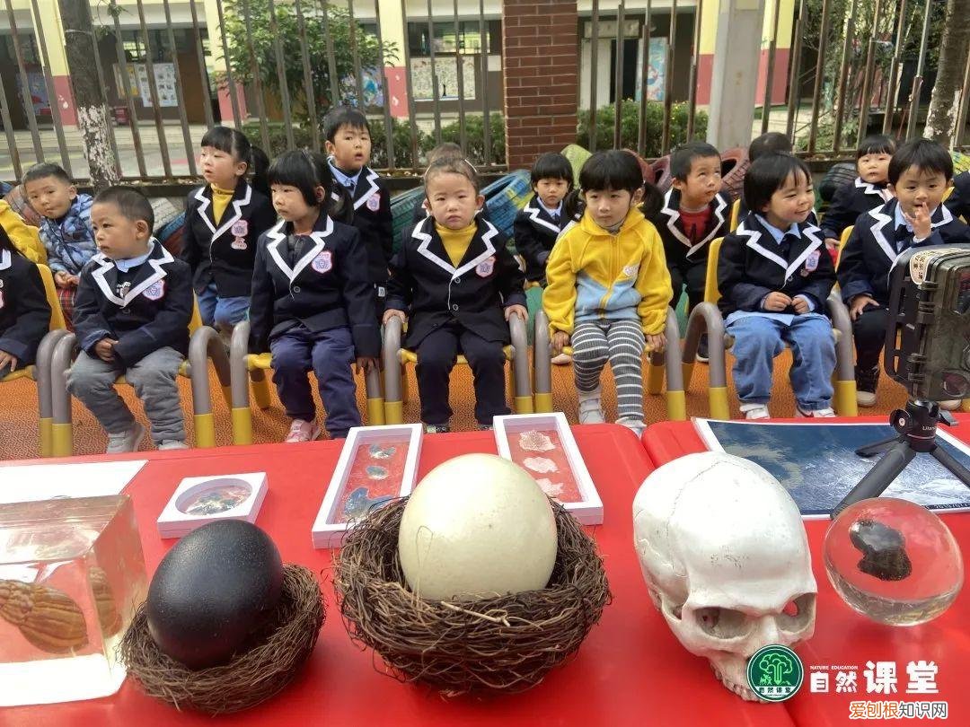 中班科学动物好朋友教案，「科普进校」我和我的动物朋友科普活动·走进爱贝幼儿园