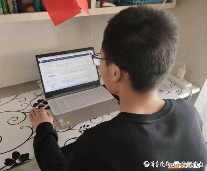 壹点爱公益，壹点公益课｜为山里娃讲解珍稀动物科普知识，志愿者云授课献爱心
