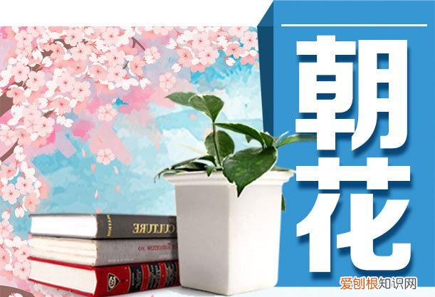 唐宋文人有哪些，趣说唐、宋、清，原来古人这么会玩——《原来唐朝人这样生活》《原来宋朝人这样生活》《原来清朝人这样生活》面世