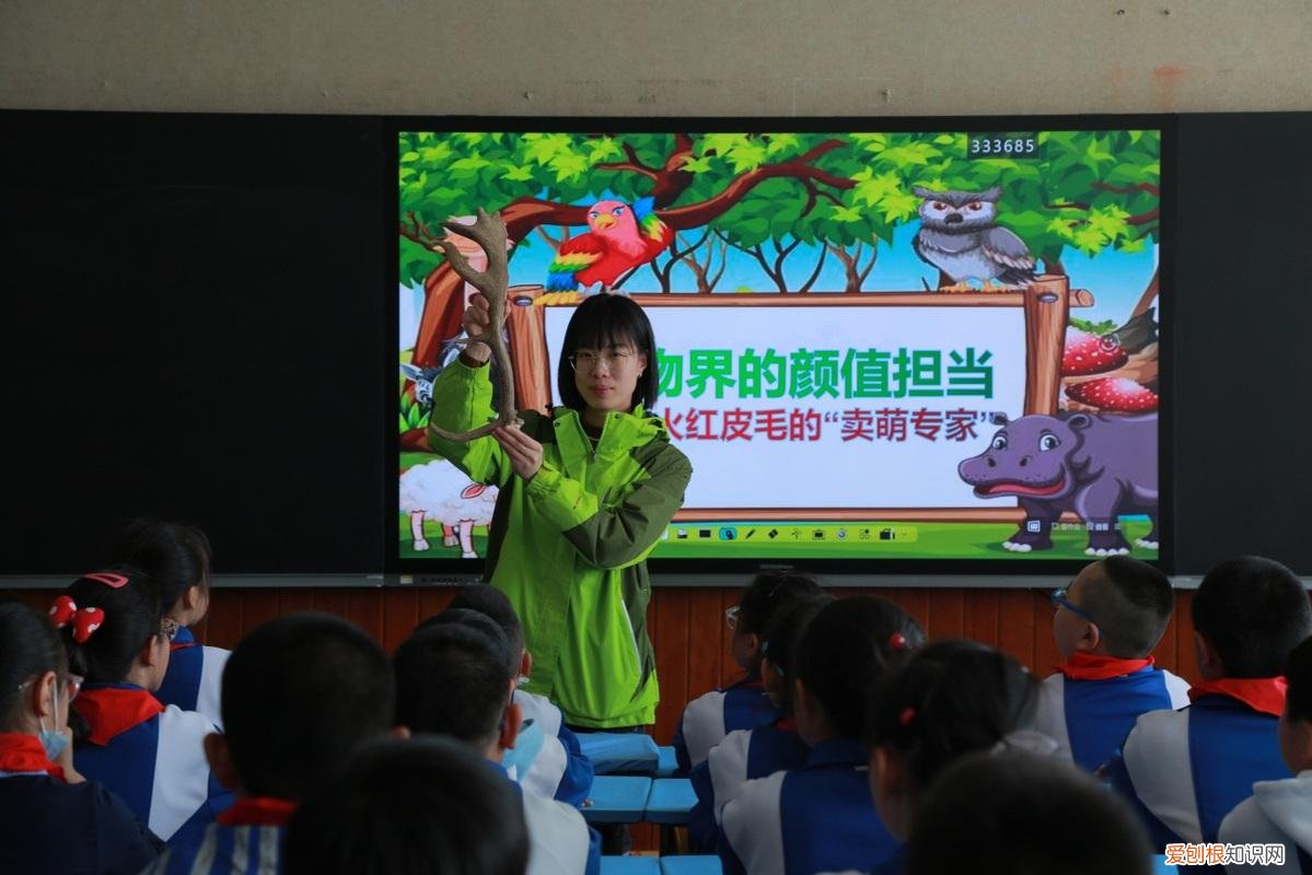 小动物公开课教学主题，动物课堂开课啦——龙沙动植物园“动物科普进校园系列”活动走进育红小学