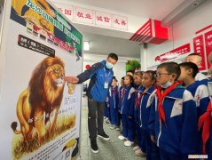 小动物公开课教学主题，动物课堂开课啦——龙沙动植物园“动物科普进校园系列”活动走进