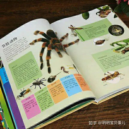 动物童话书籍，童书分享–《中国儿童动物百科》