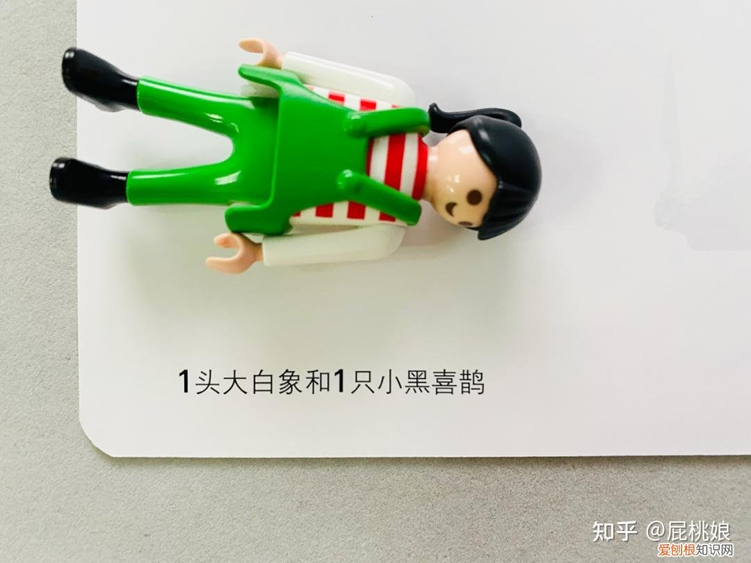 如何教宝宝认识动物和人，如何教宝宝认识动物？