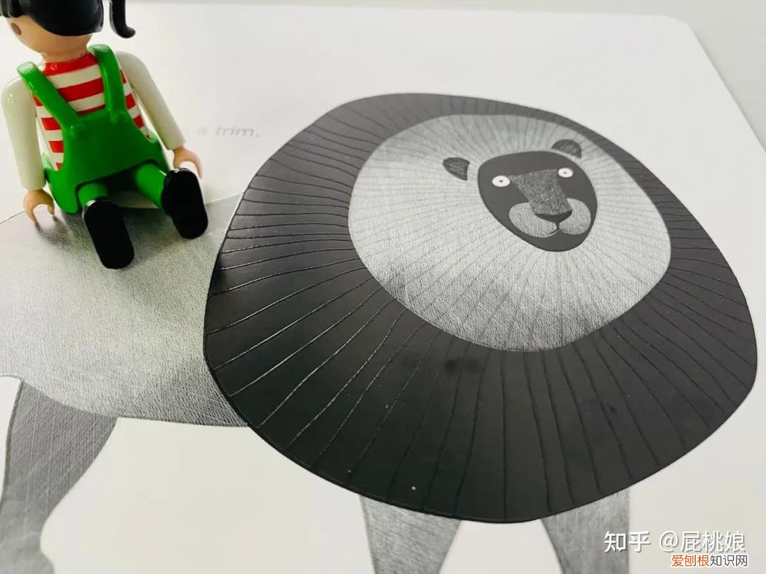 如何教宝宝认识动物和人，如何教宝宝认识动物？