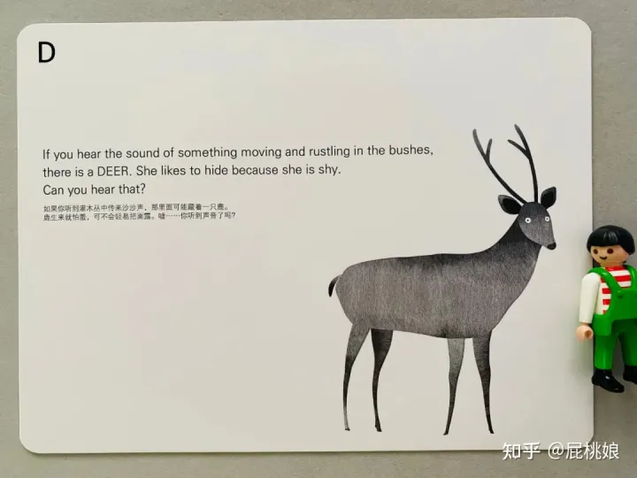 如何教宝宝认识动物和人，如何教宝宝认识动物？