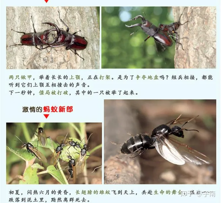 动物世界科普书,有哪些关于动物科普的书籍推荐?