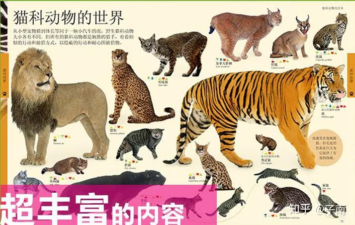动物世界科普书,有哪些关于动物科普的书籍推荐?