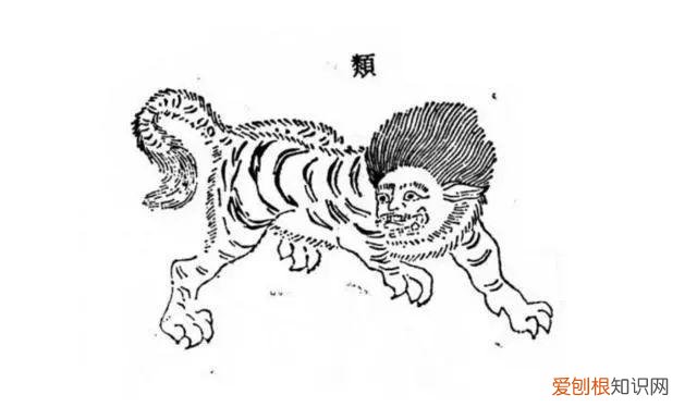 科学儿童读物，年度最适合家长与孩子的趣味科普读物——《奇兽：山海经动物图鉴》