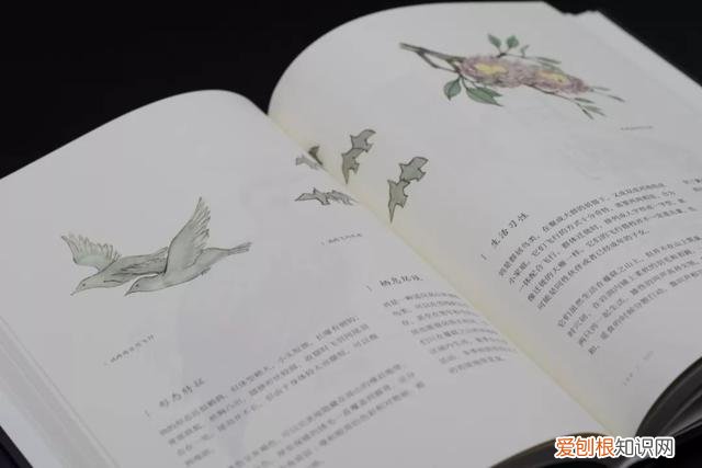 科学儿童读物，年度最适合家长与孩子的趣味科普读物——《奇兽：山海经动物图鉴》