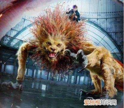科学儿童读物，年度最适合家长与孩子的趣味科普读物——《奇兽：山海经动物图鉴》