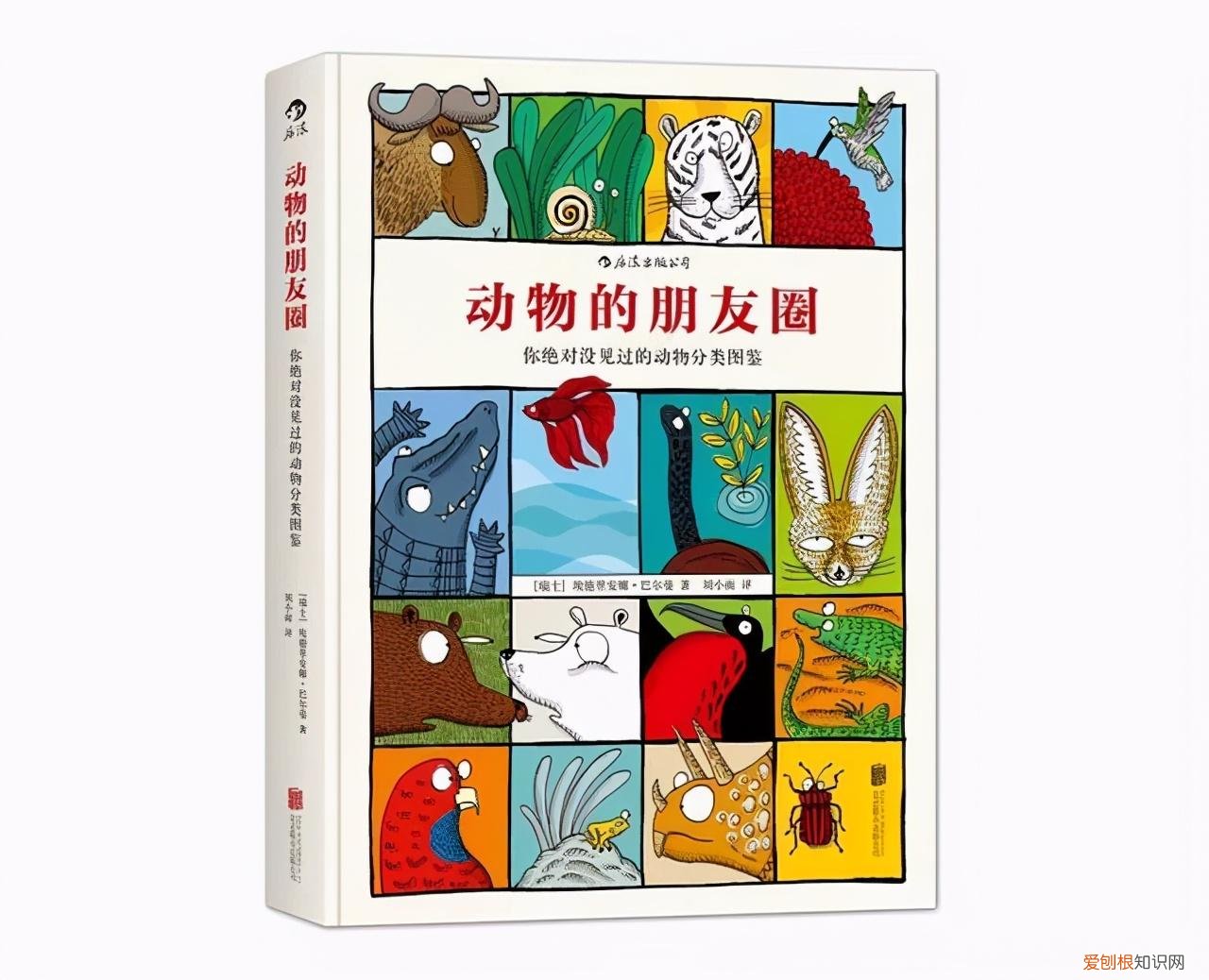 用一句英语介绍动物，关于动物科普知识 这些绘本好玩有趣又有料