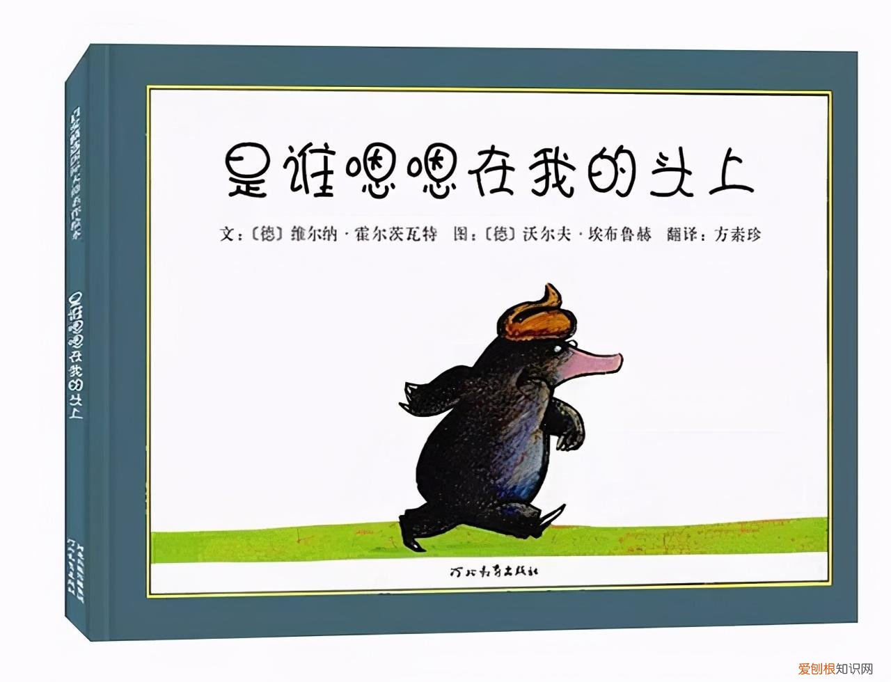 用一句英语介绍动物，关于动物科普知识 这些绘本好玩有趣又有料