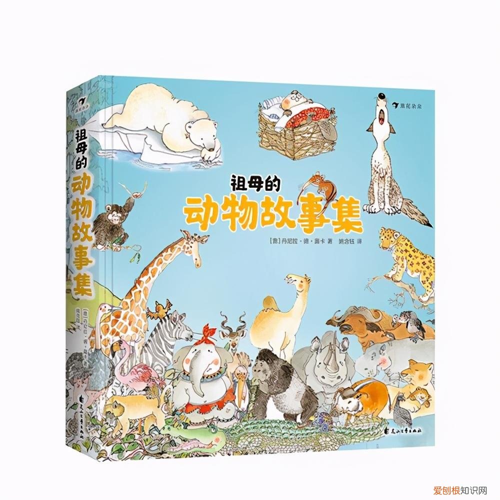 用一句英语介绍动物，关于动物科普知识 这些绘本好玩有趣又有料